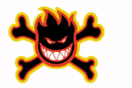 SpiItFiRe